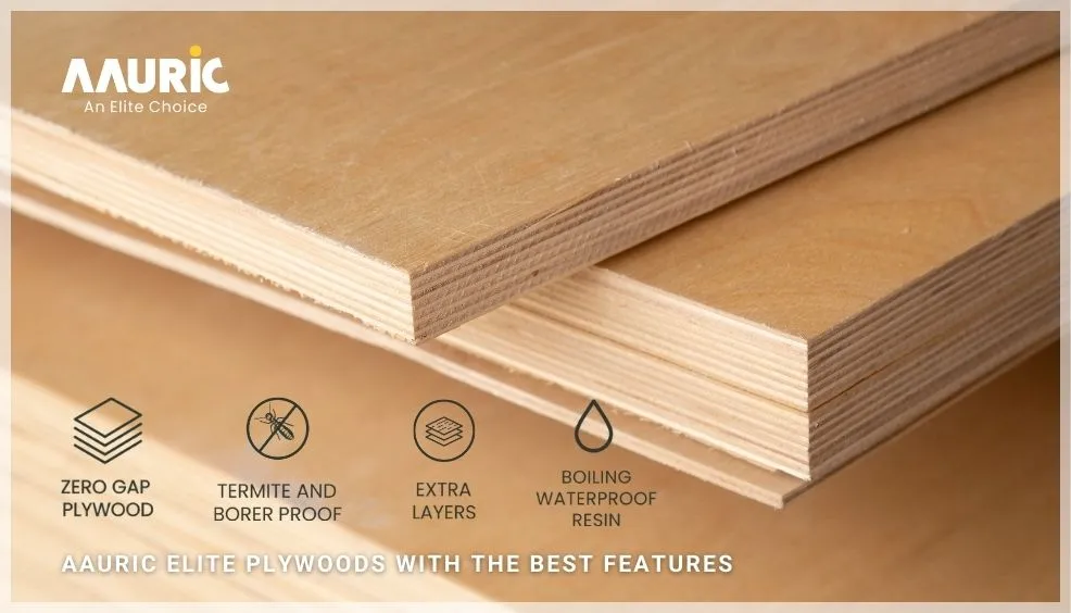 Plywood company in India