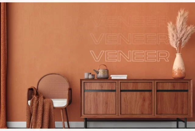 best veneer brands in India