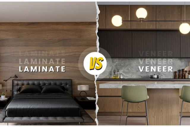 Laminate vs Veneer