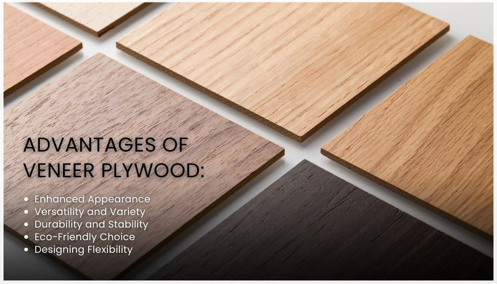 best veneer plywood